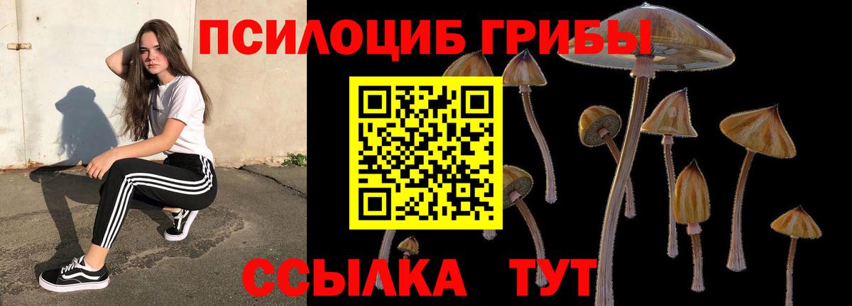 Нефтекумск  Псилоцибиновые грибы Magic Shrooms  Галлюциногенные грибы Magic Shrooms  Вход с VPN 